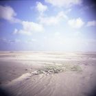 Amrum