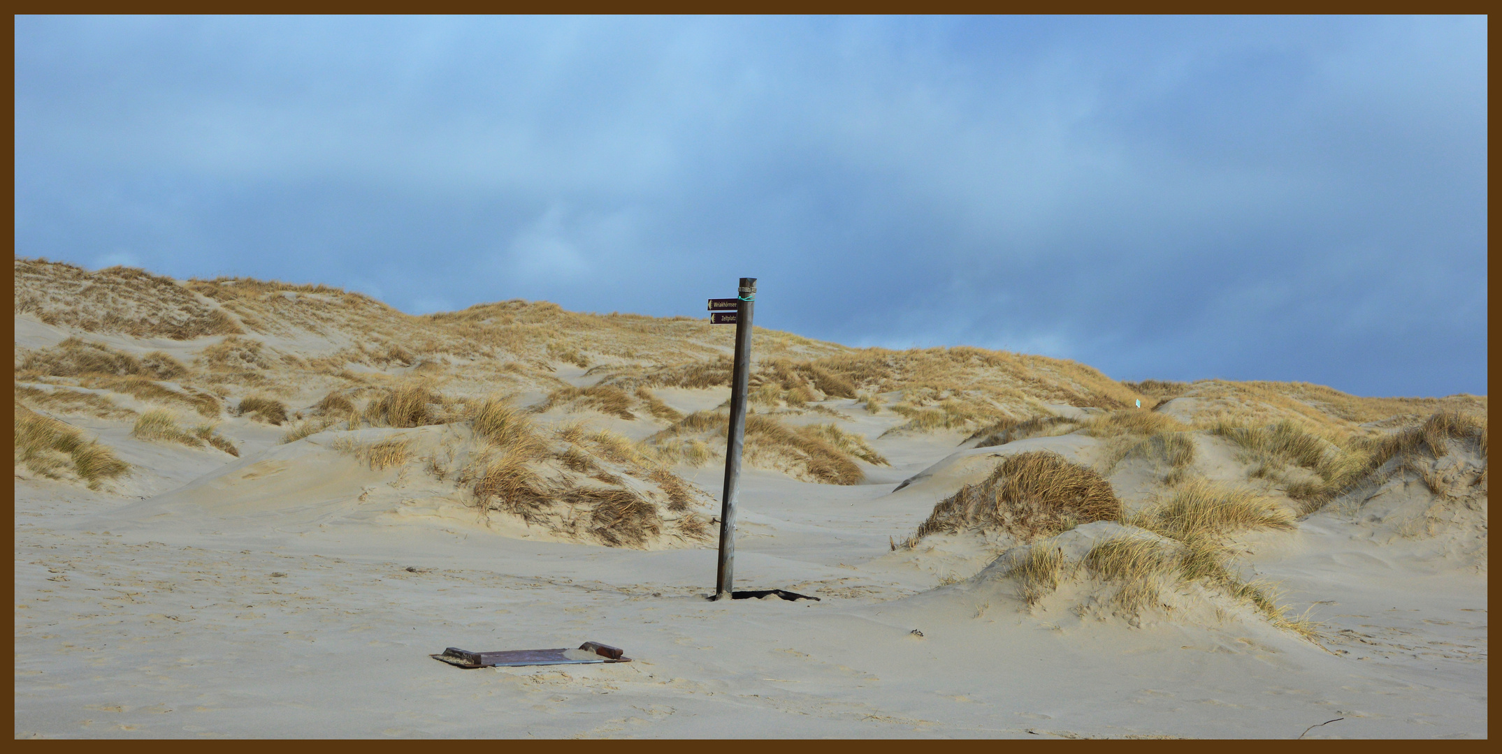 Amrum