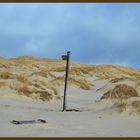 Amrum