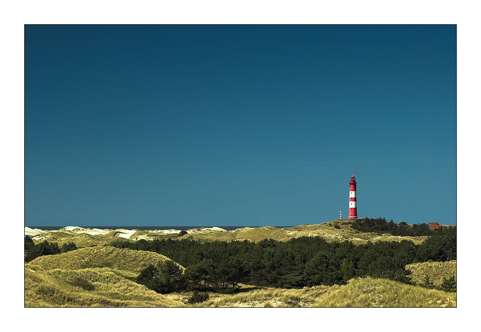 Amrum