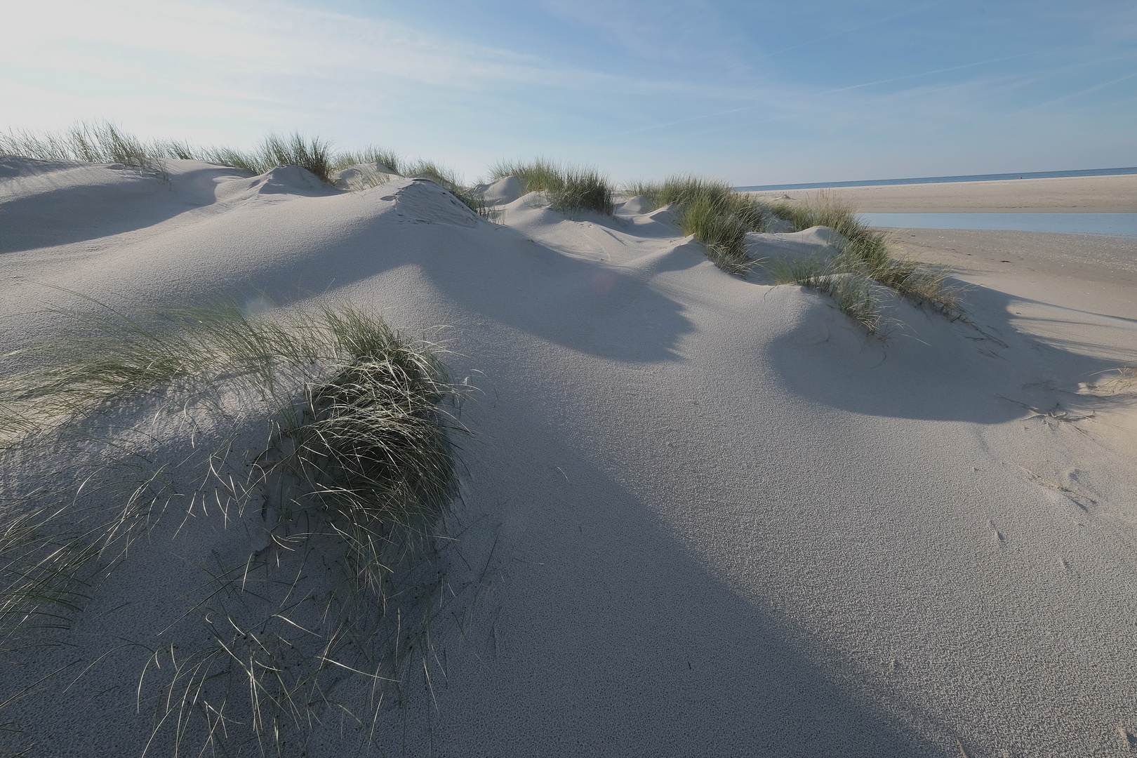 Amrum