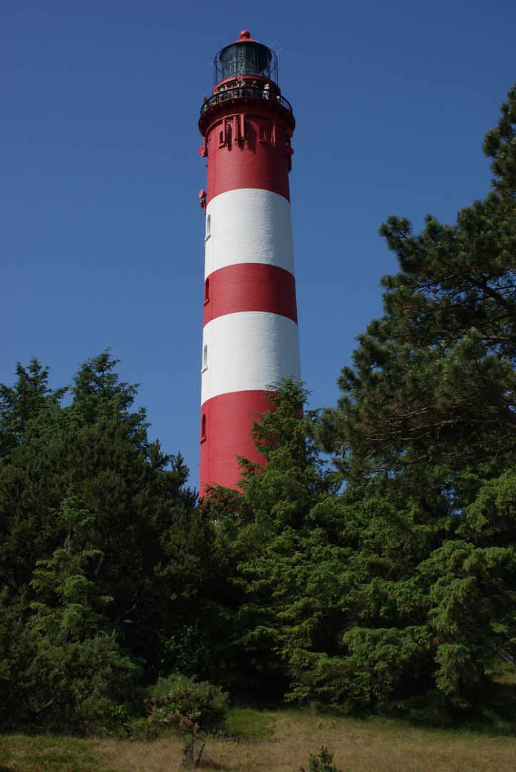 Amrum