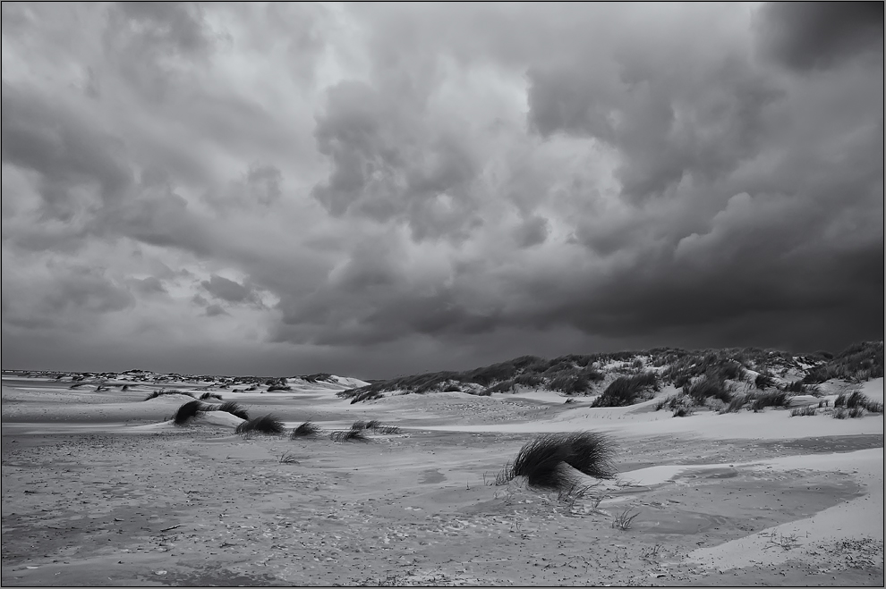 Amrum