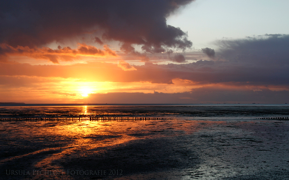 Amrum- am Morgen