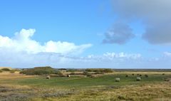 Amrum auf der Wattseite