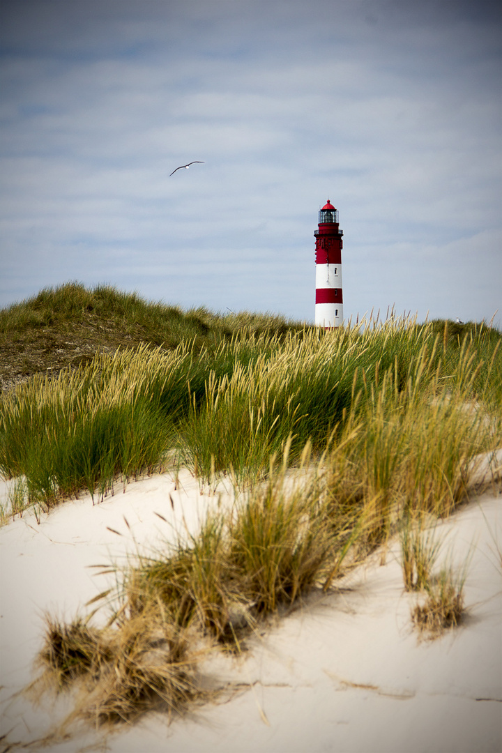 Amrum Foto & Bild deutschland, europe, schleswig holstein Bilder auf