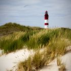 Amrum