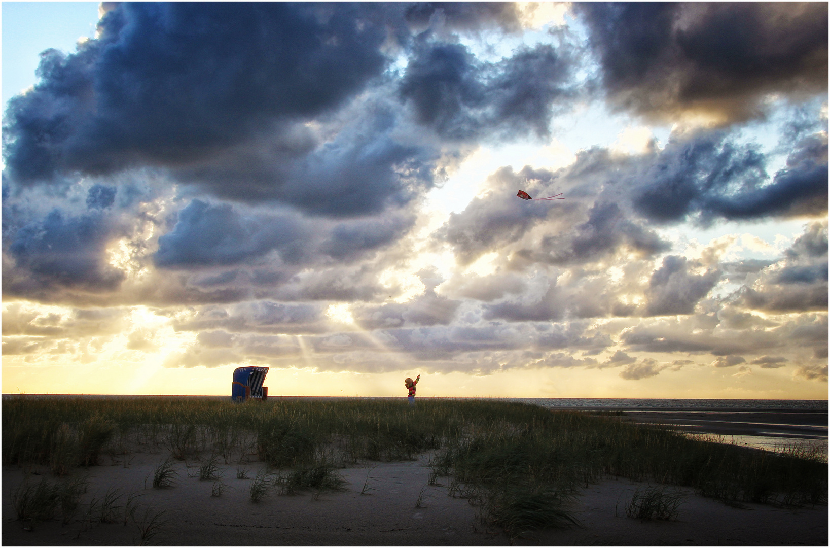 Amrum