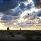 Amrum