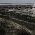 Amrum: Blick über die Dünen zum Meer