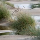 Amrum * Büschelmuster