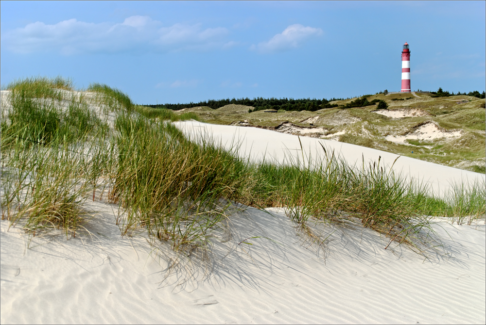 Amrum