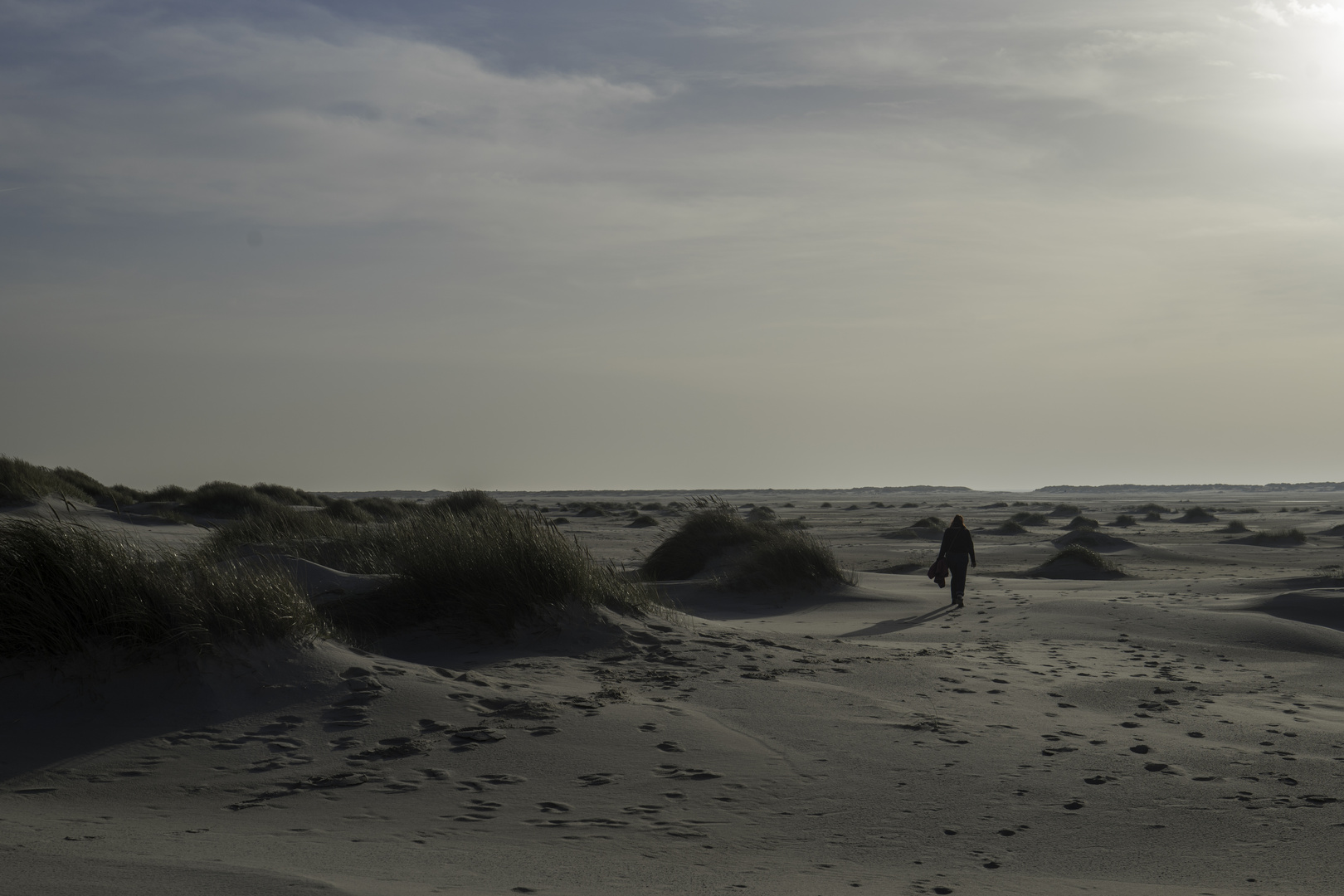 Amrum