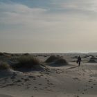 Amrum