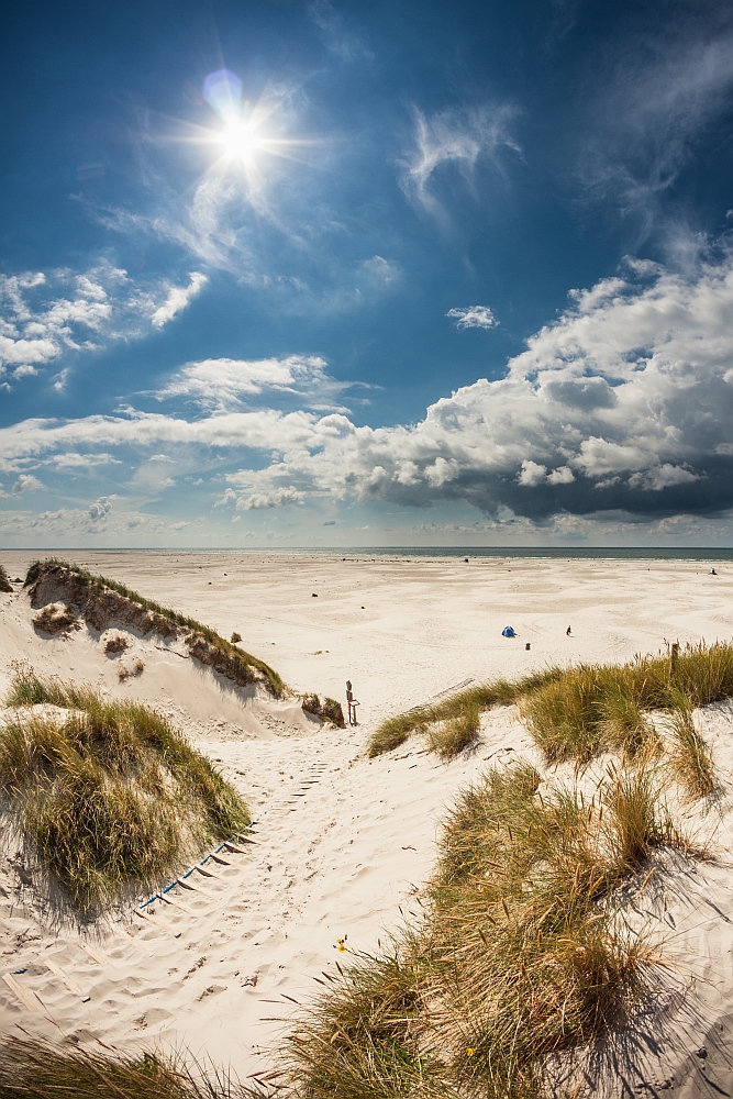 Amrum