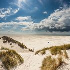 Amrum