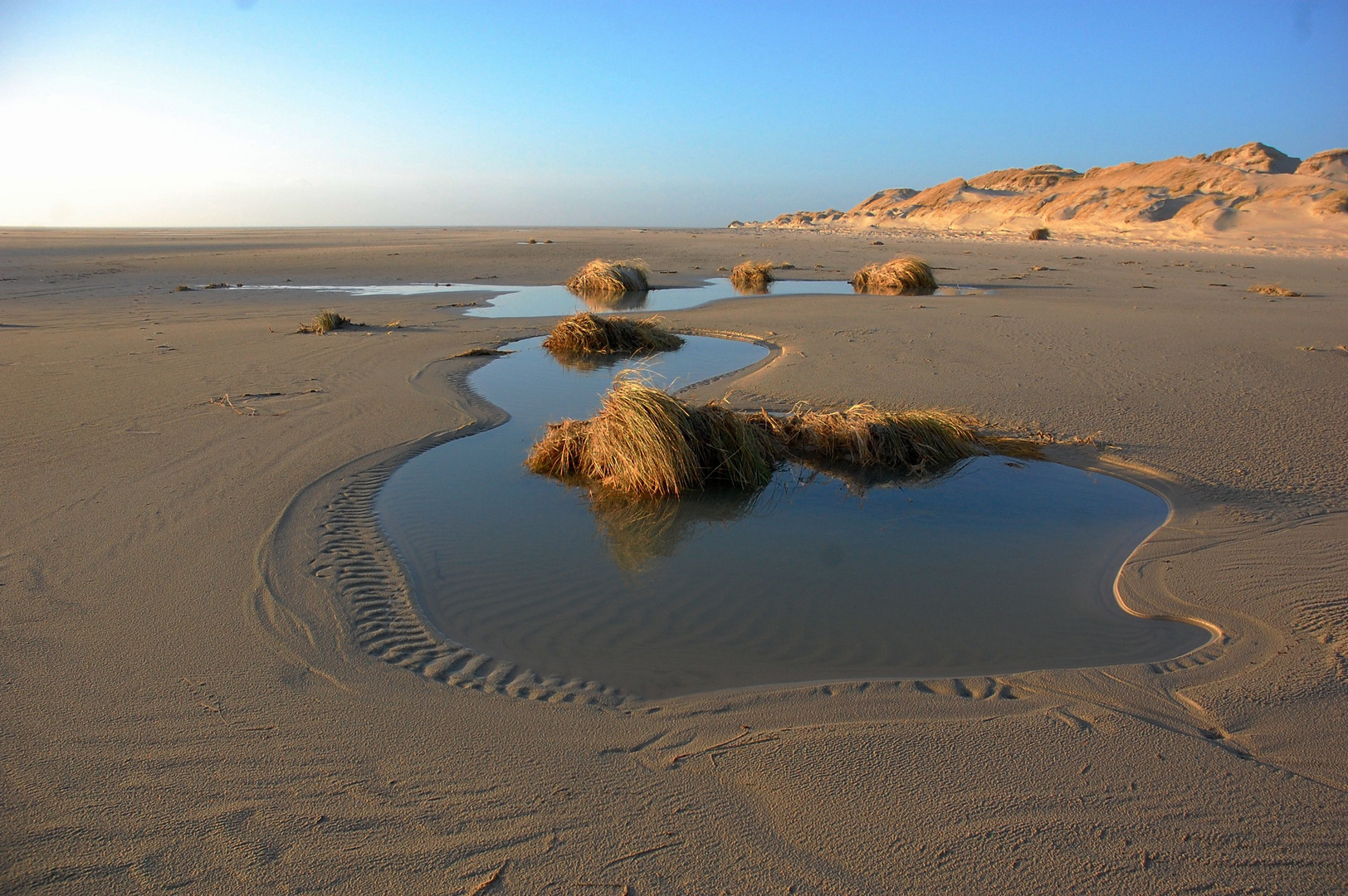 Amrum