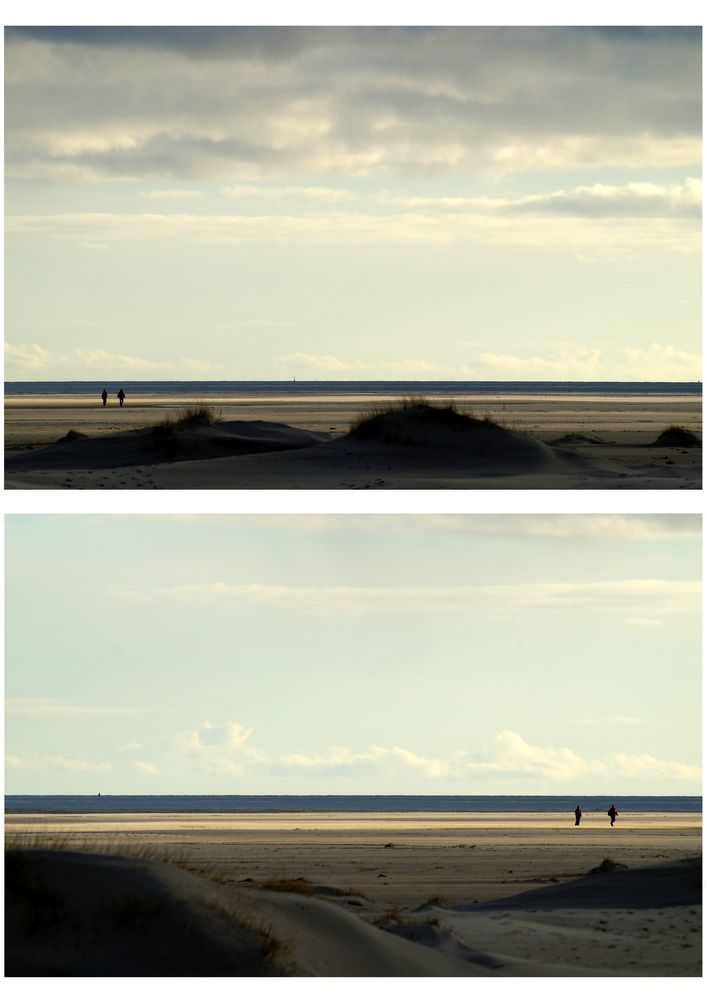 Amrum