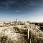 Amrum