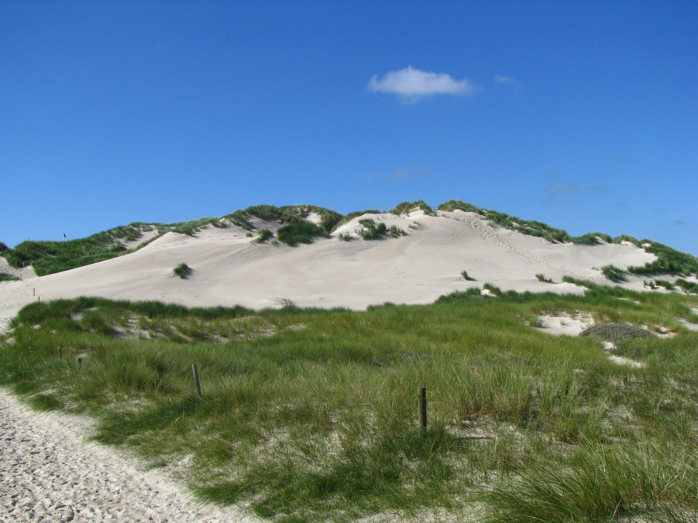 Amrum * die Düne am Leuchtturm