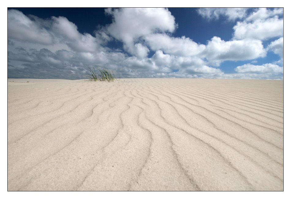 Amrum, die Insel unter weitem Himmel.