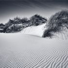 ::: Amrum | Düne :::