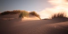 Amrum Dünen Herbst