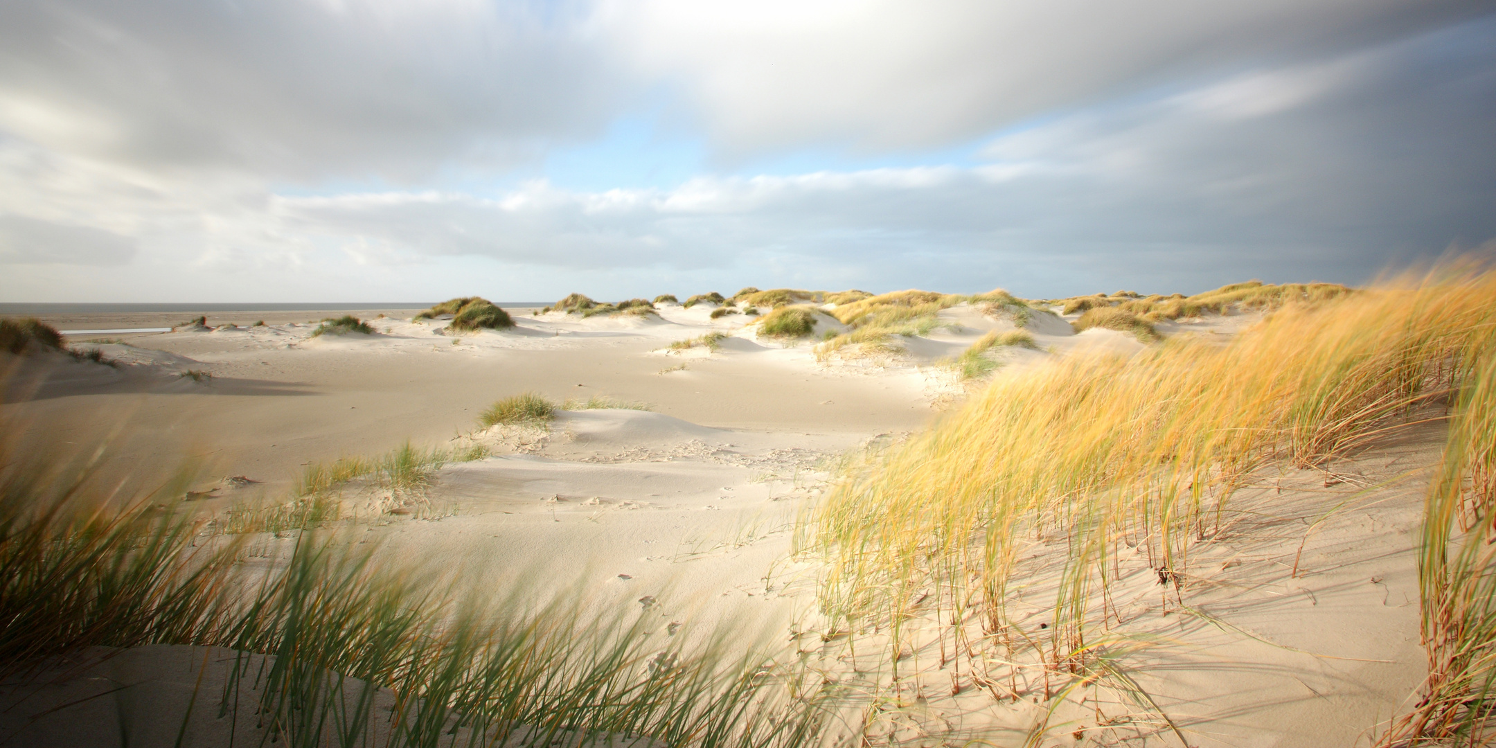 Amrum - Dünen im Herbst