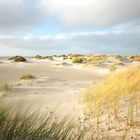 Amrum - Dünen im Herbst