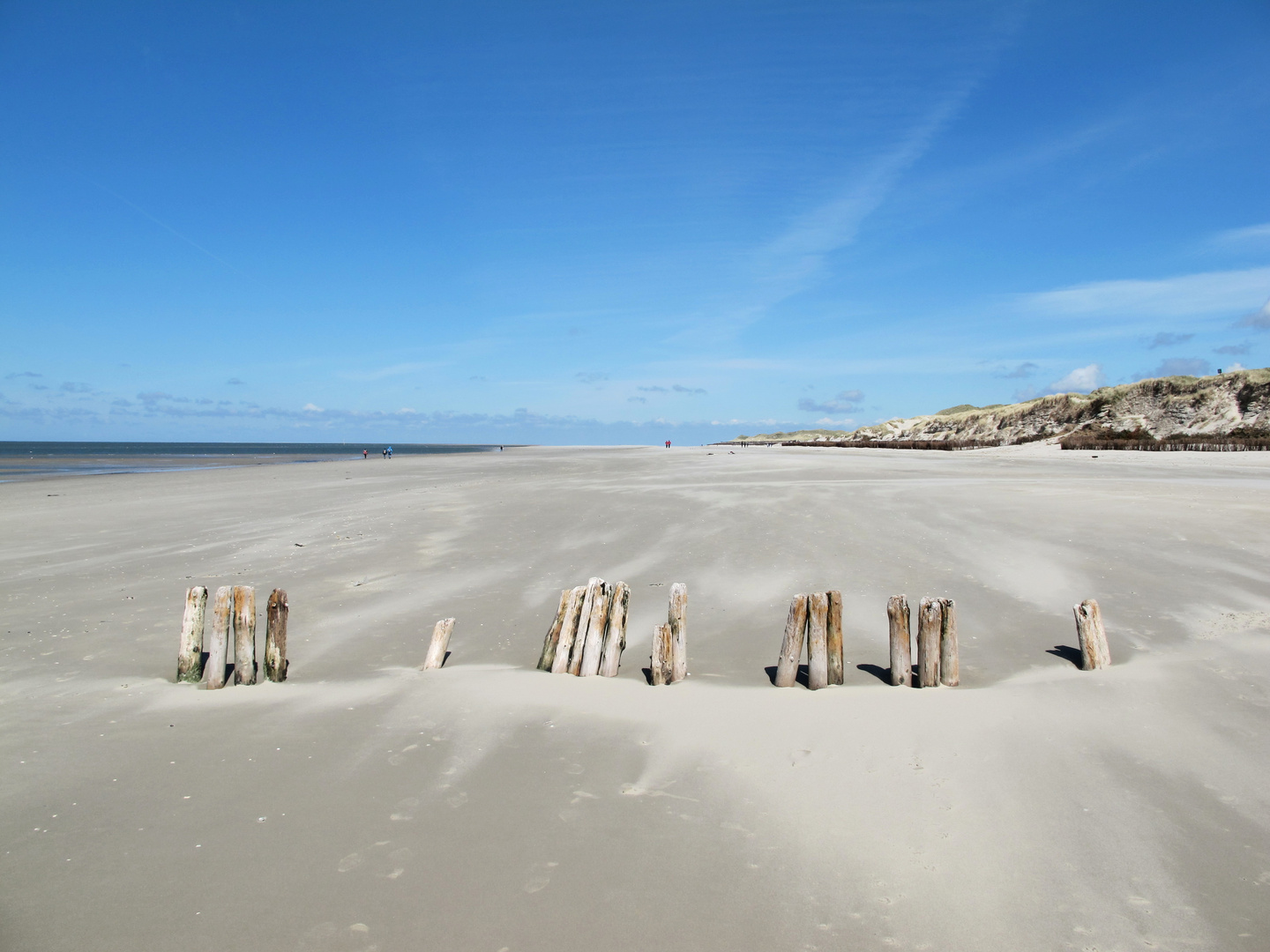 Amrum