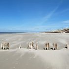 Amrum