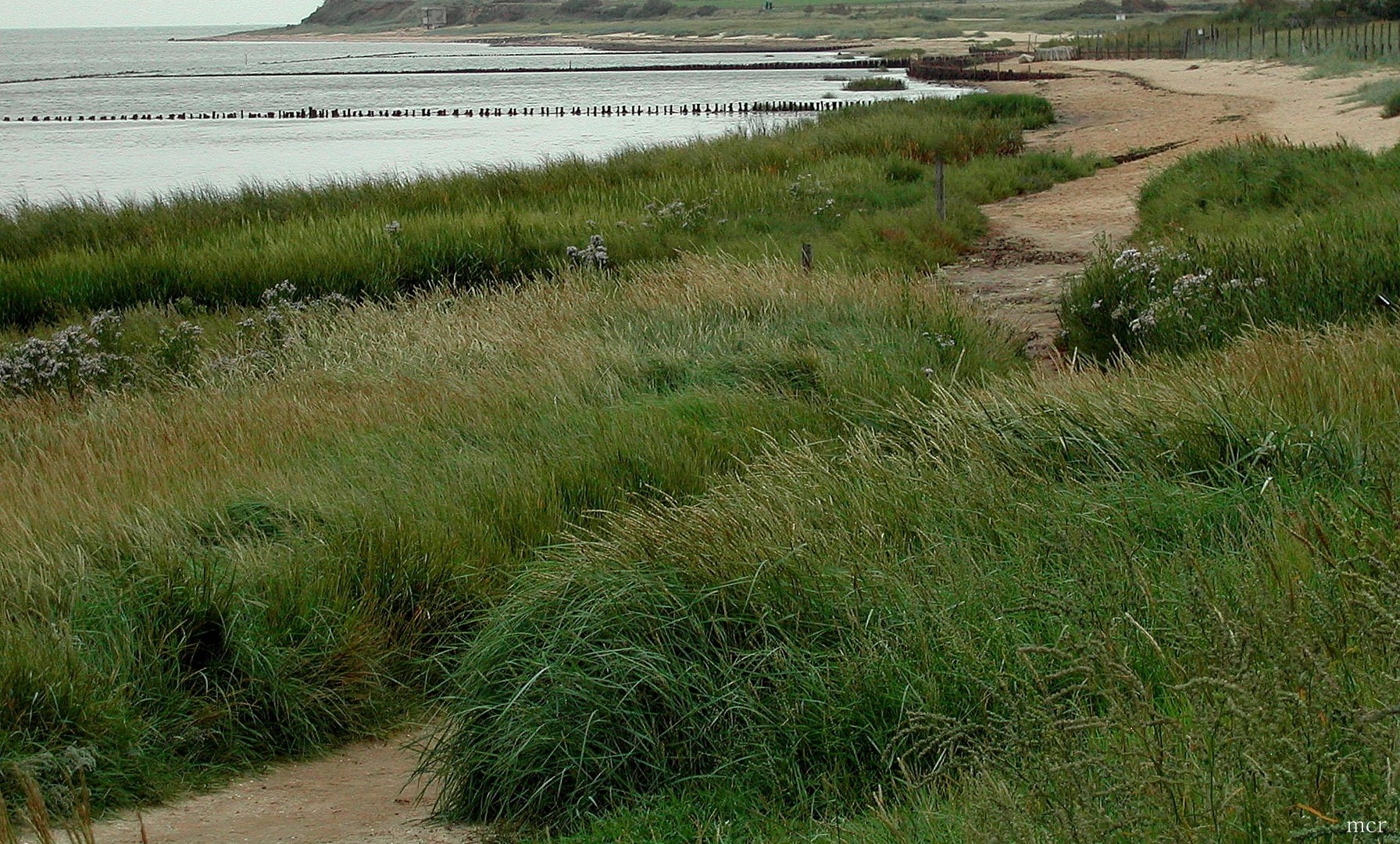 AMRUM