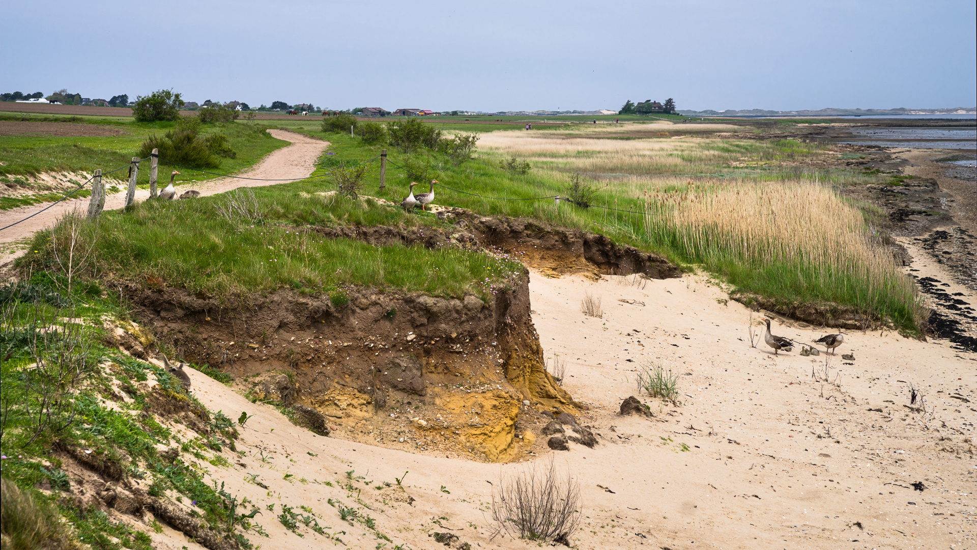 Amrum Erosion