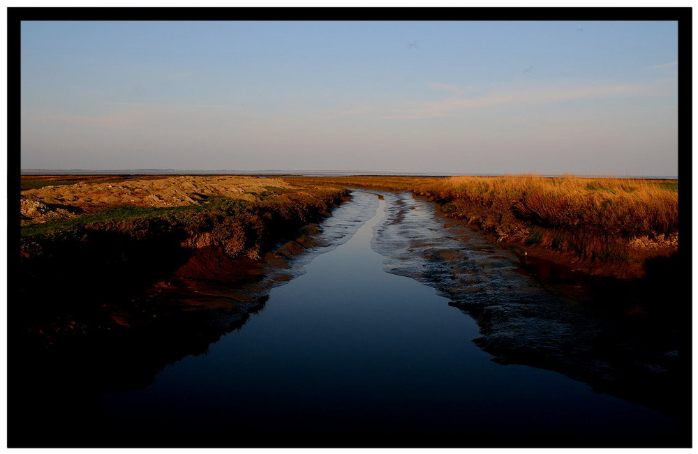 Amrum