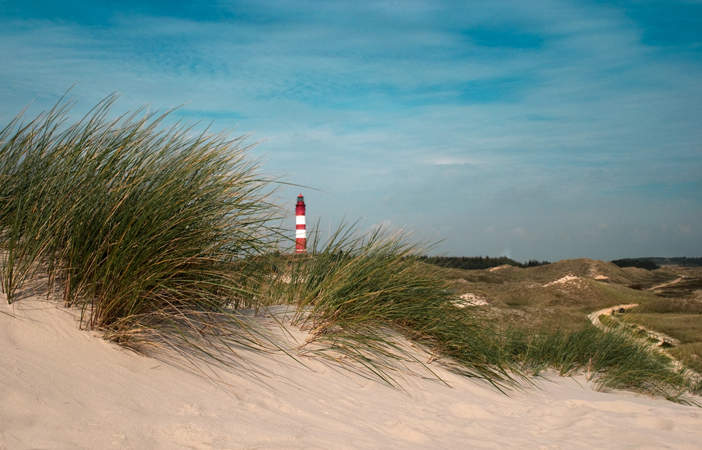 Amrum