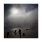 Amrum - Fog #1