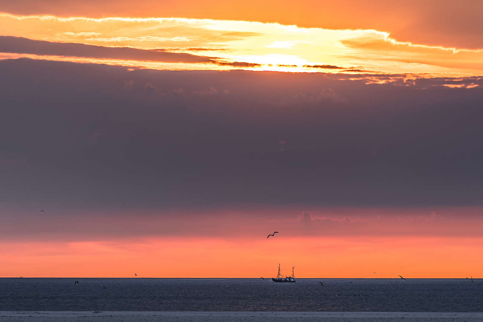 Amrum - Heimkehr...