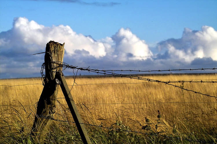 Amrum I