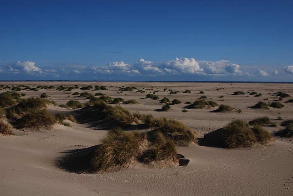 Amrum I