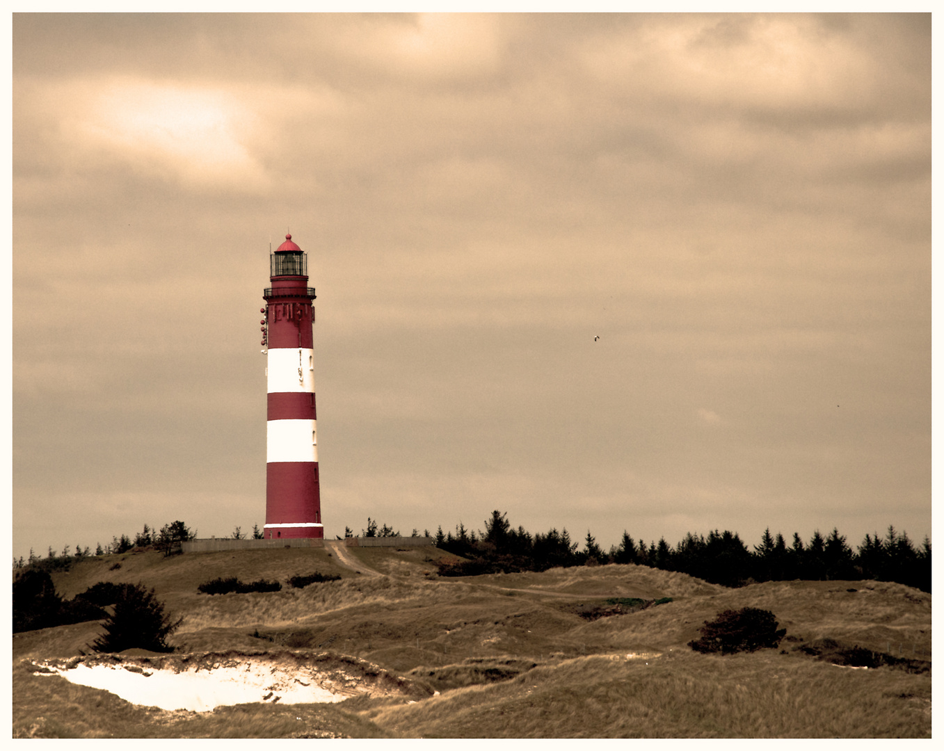 Amrum II