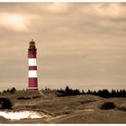 Amrum II