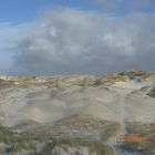 Amrum III