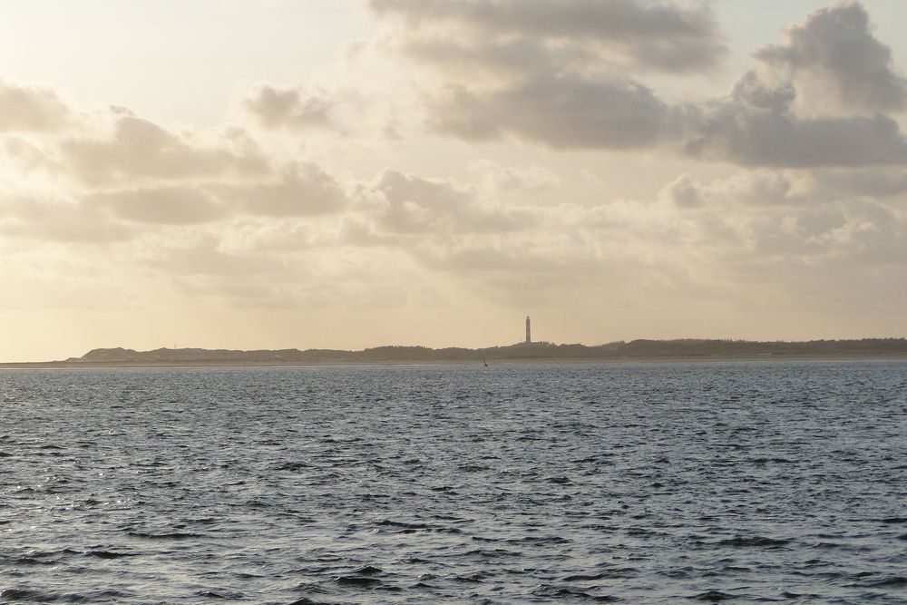 Amrum im Abendlicht von Spetz 