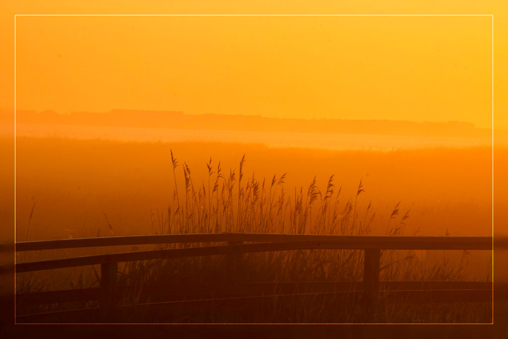 Amrum im Frühnebel und Sonnenaufgang