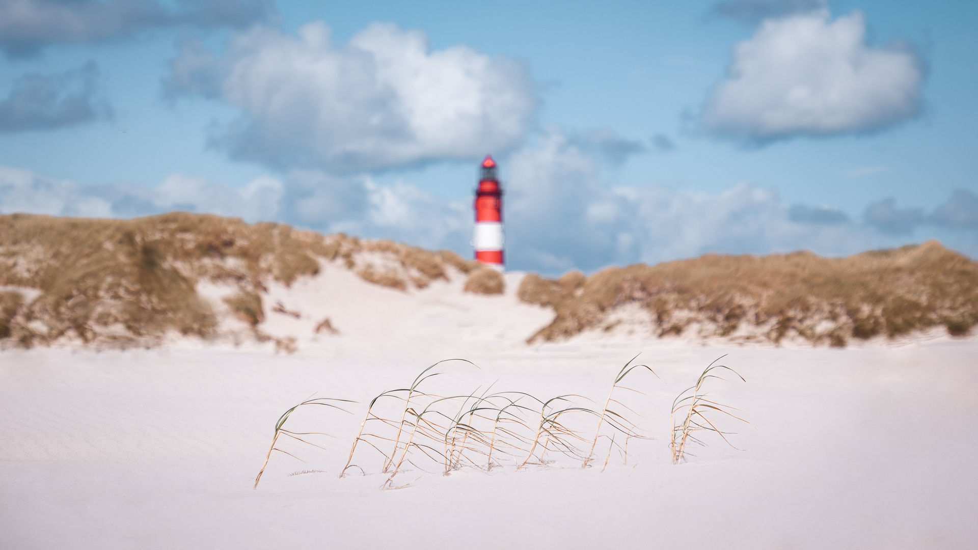 Amrum-Impression 01