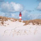 Amrum-Impression 01