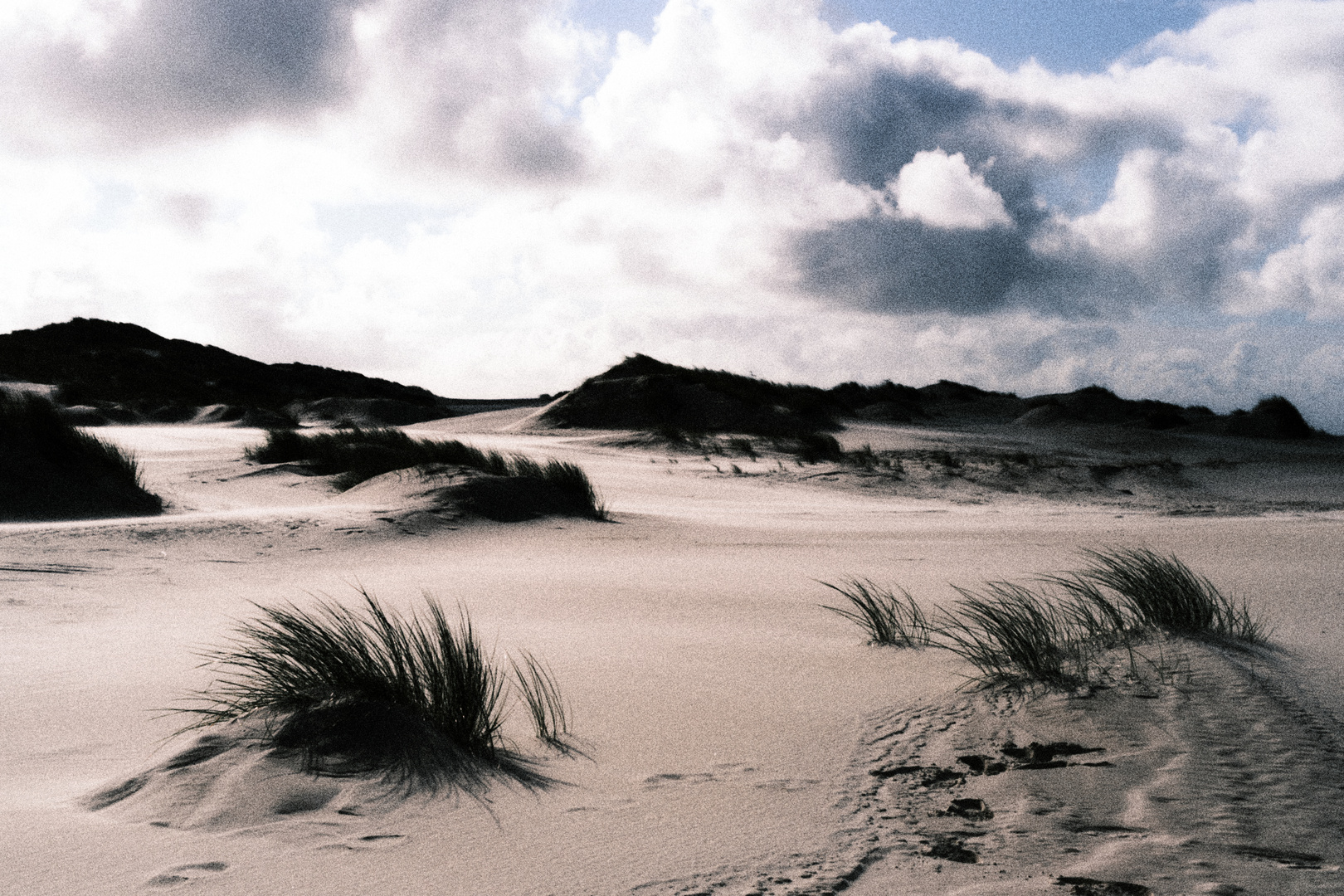 Amrum - Impressionen am Strand