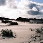 Amrum - Impressionen am Strand