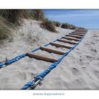 Amrum Impressionen