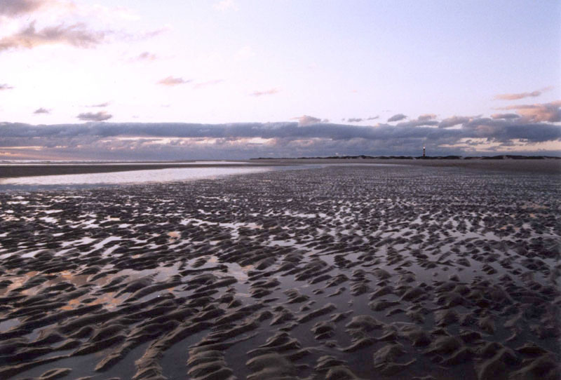 Amrum in Abendstimmung